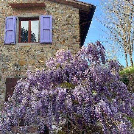 Antico Casale Il Fiorentino Montenero  Buitenkant foto