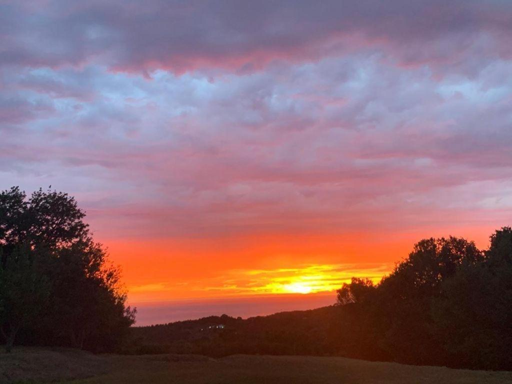 Antico Casale Il Fiorentino Montenero  Buitenkant foto