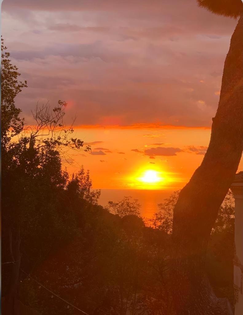 Antico Casale Il Fiorentino Montenero  Buitenkant foto